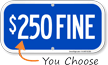 $250 FINE Sign