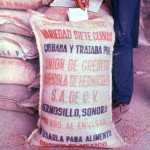 Grain with Methyl mercury