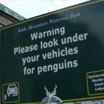 Warning, please look under your vehicles for penguins