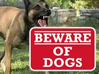 Designer Beware of Dog Signs