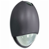 LED Tear Drop Fixture Emergency Light