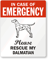 In Case Of Emergency, Please My Dalmatian Label