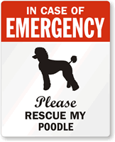In Case Of Emergency, Please My Poodle Label