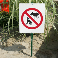 No Dog Pooping And No Dog Peeing Sign