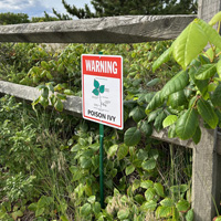 Warning Poison IVY LawnBoss Sign