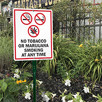 No Tobacco Or Marijuana Smoking LawnBoss Sign